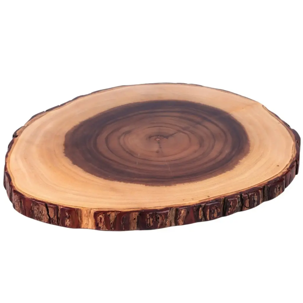 Bark-Rimmed Round Wooden Plate 13"