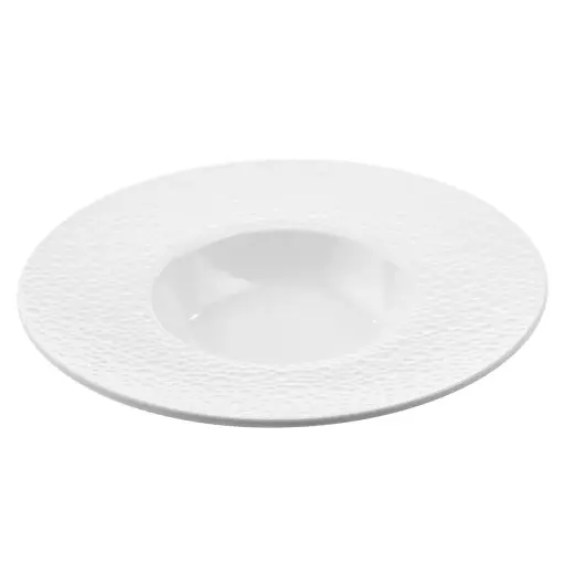 [CRM0941] Soup Plate 11" (White Meteorite)