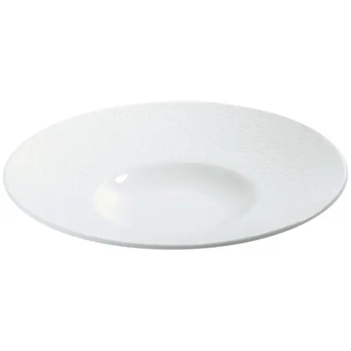 [CRM1041] Porcelain Pasta Plate 10" (Celadon Rim)